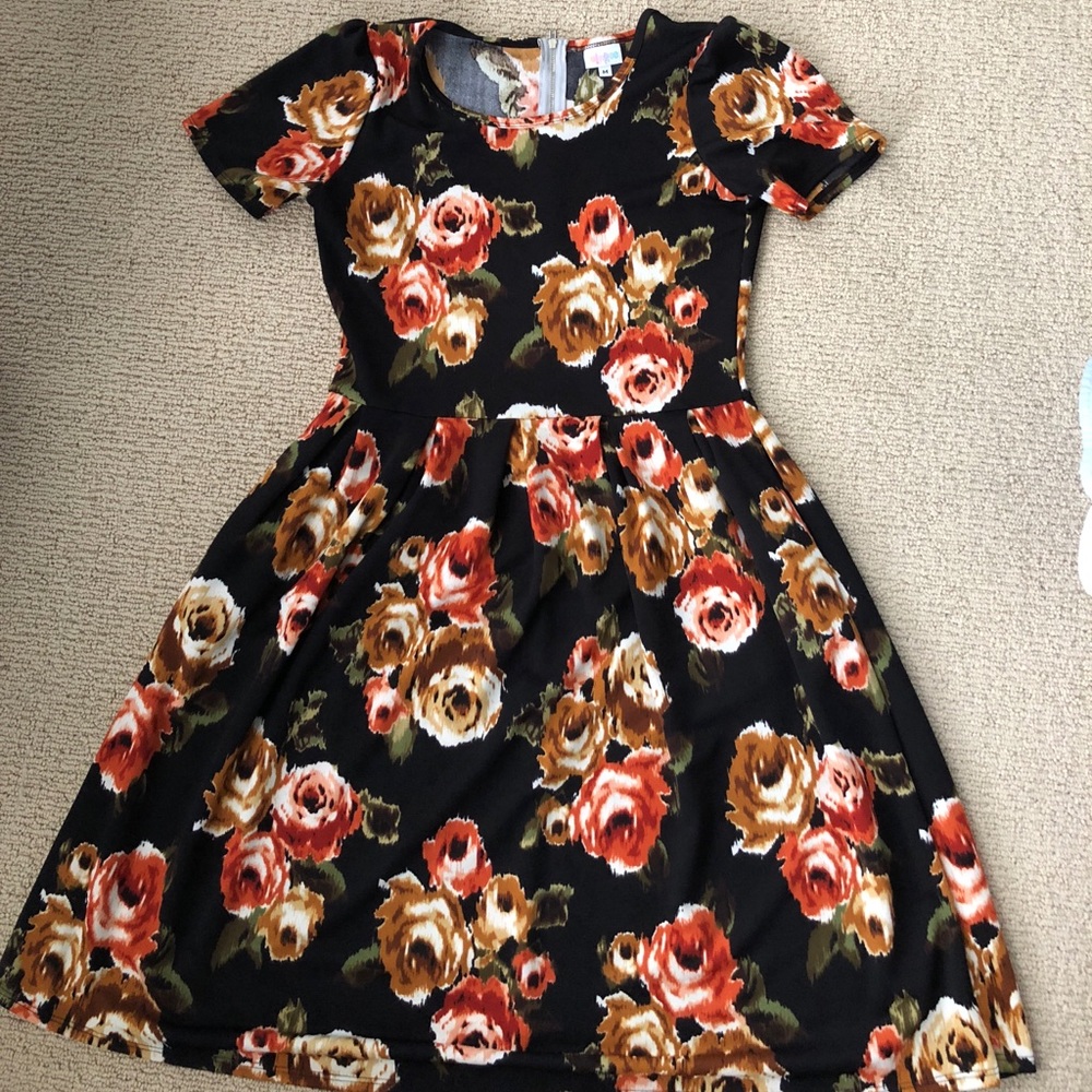 Floral Lularoe Amelia dress